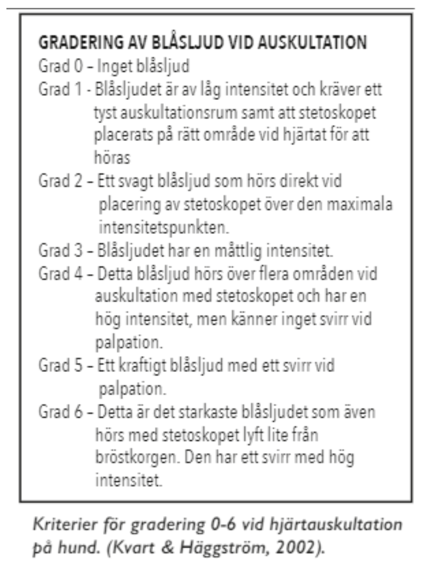 Gradering av blåsljud enligt skala 0-6