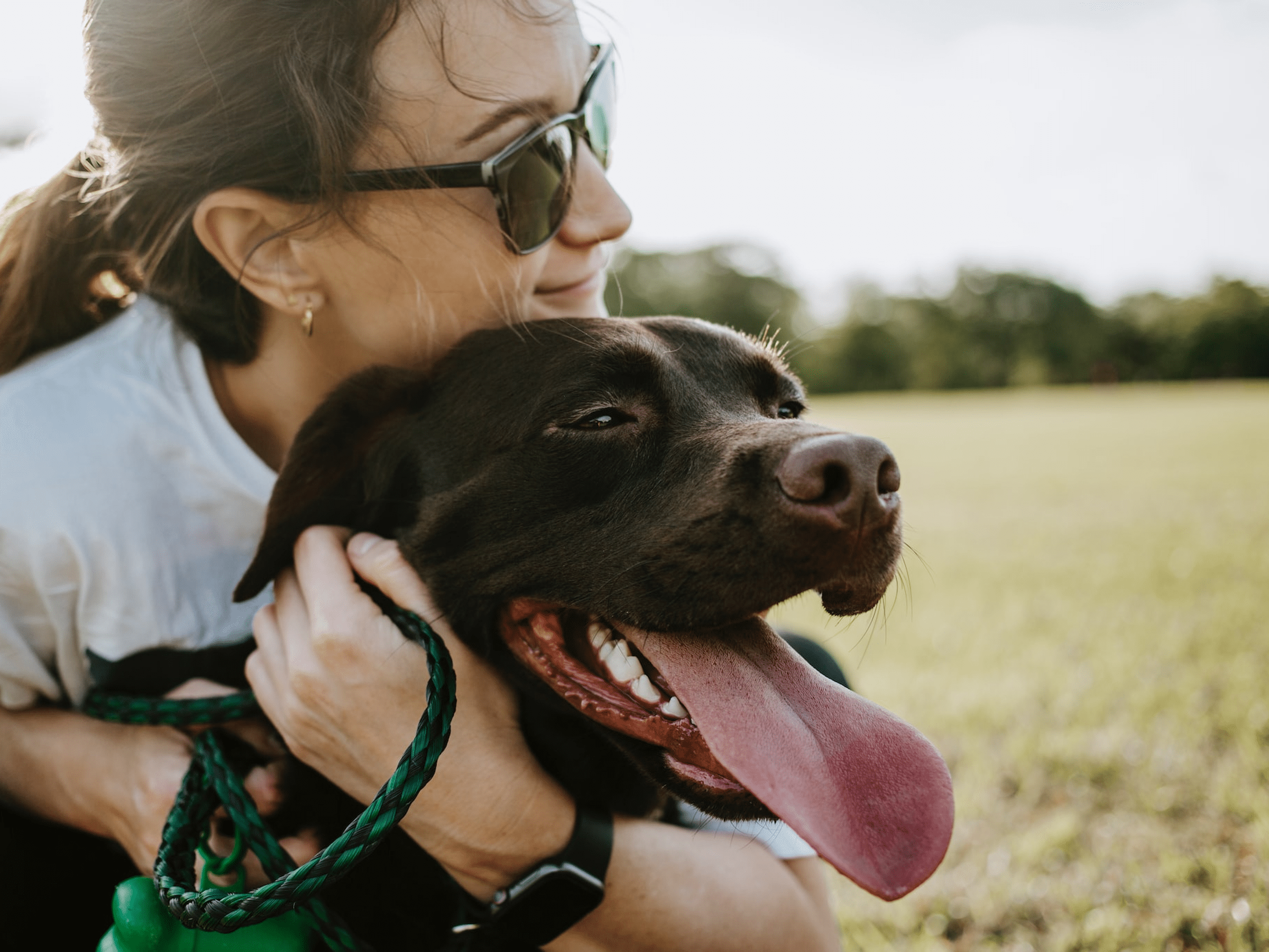 Starta din karriär som veterinärkonsult med ett sommaruppdrag