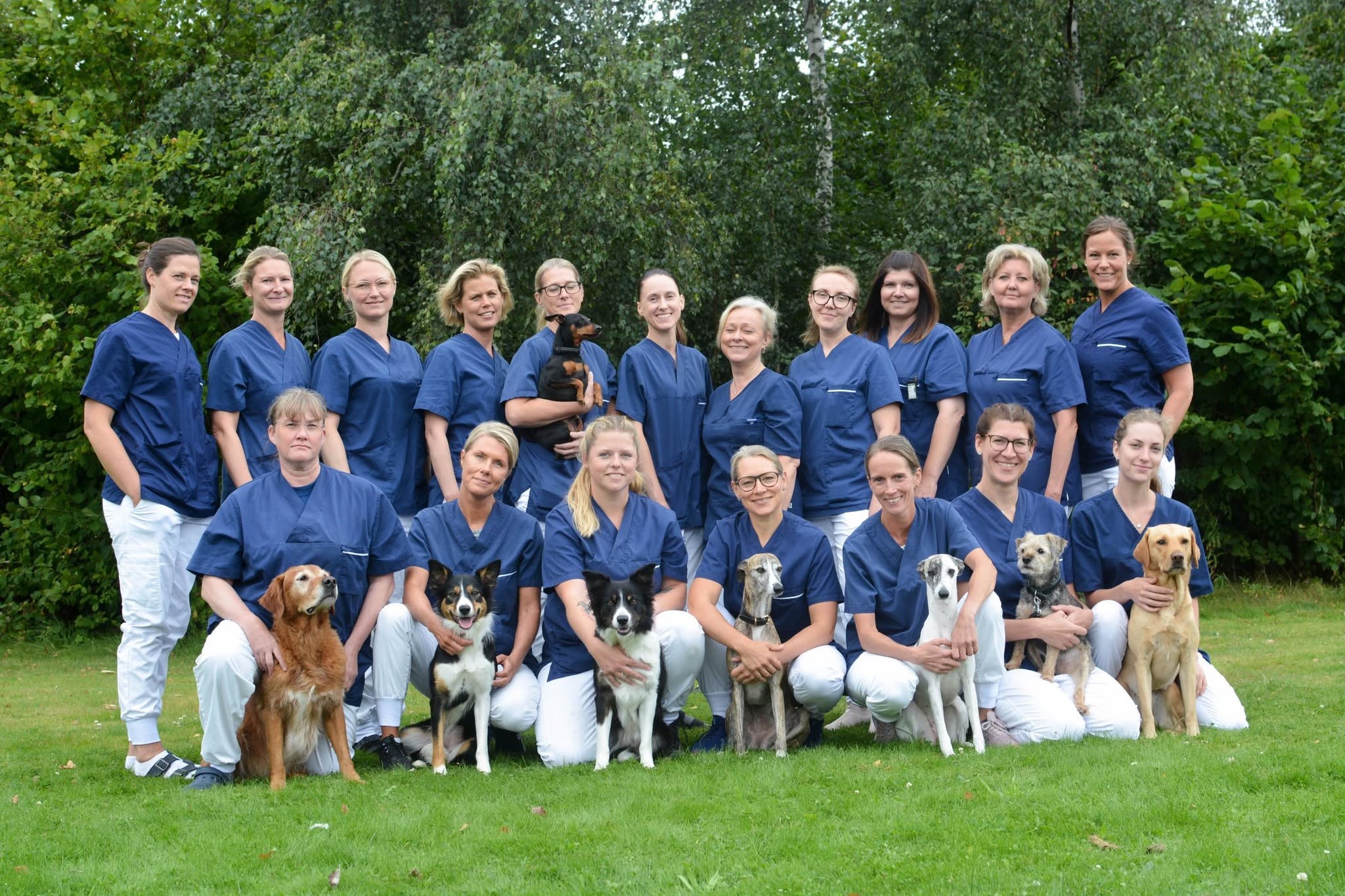 Veterinär till Helsingborgs Veterinärklinik