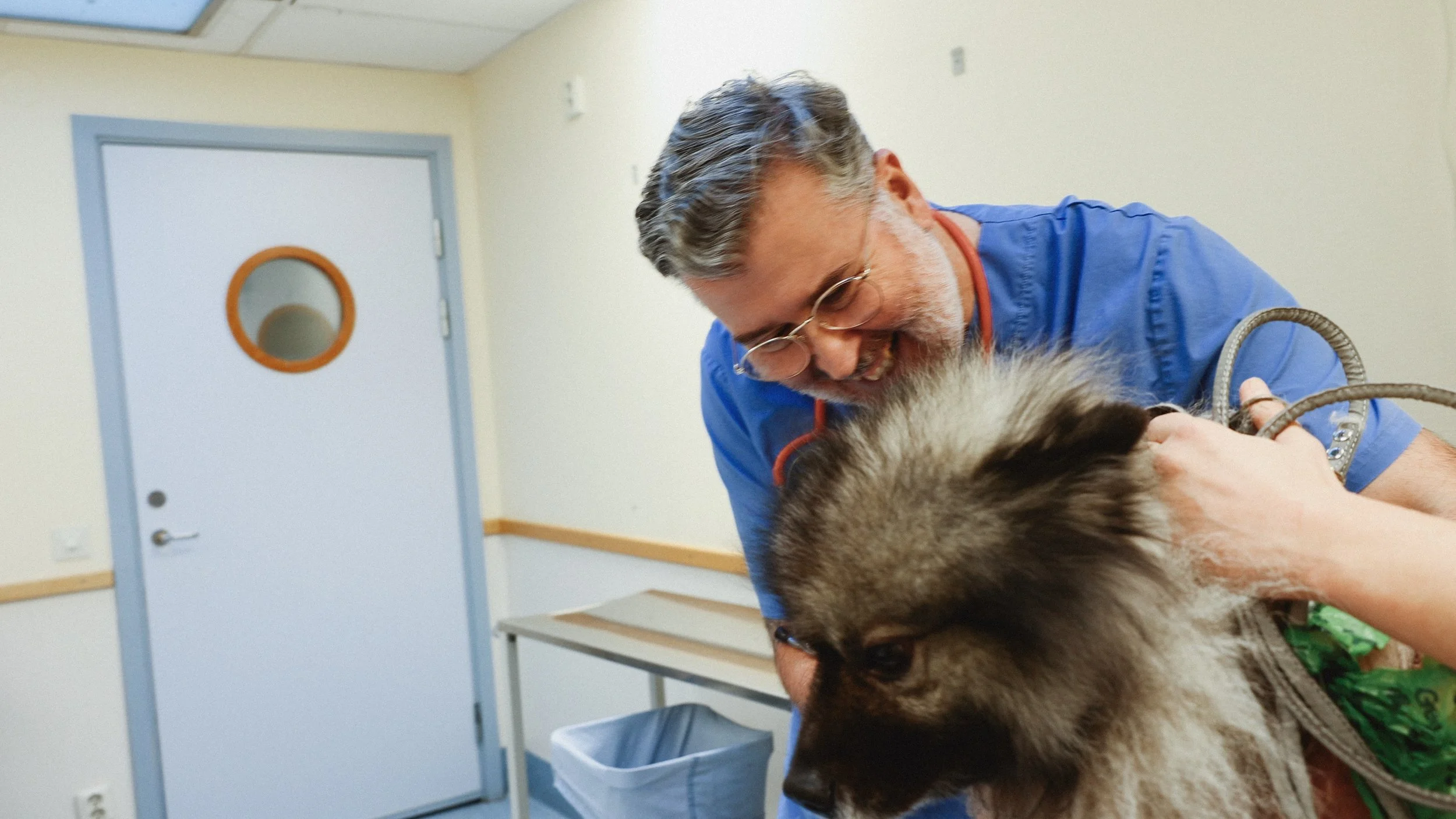 Veterinär