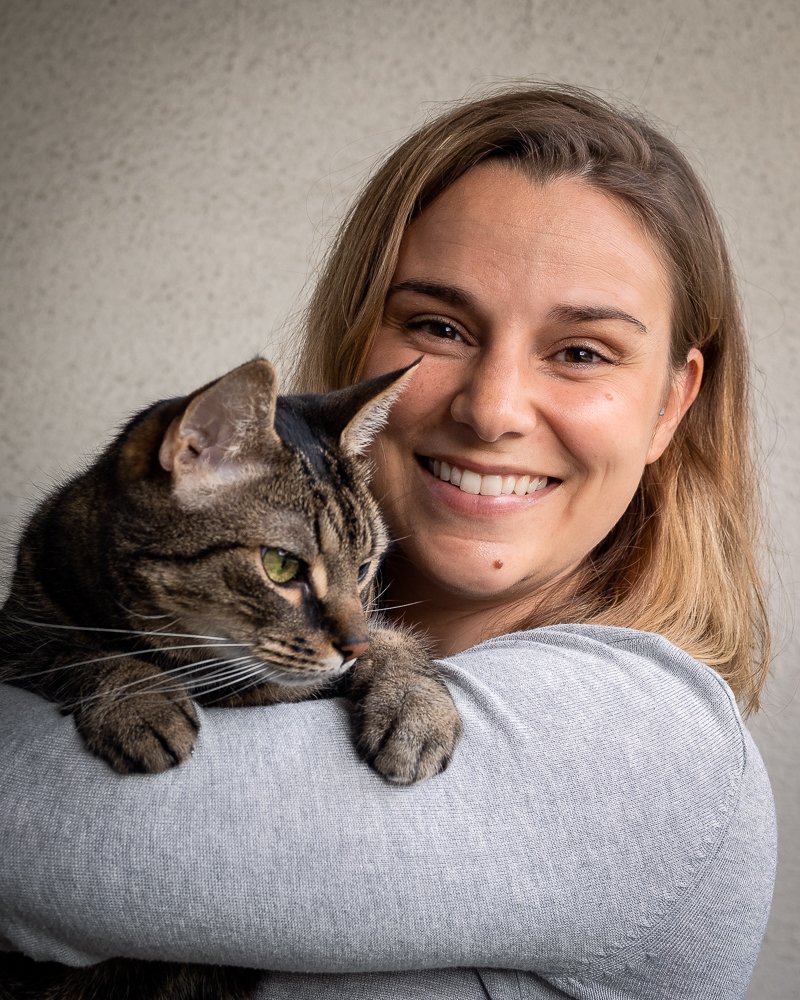 Säker kattanestesi: Från oro till kontroll